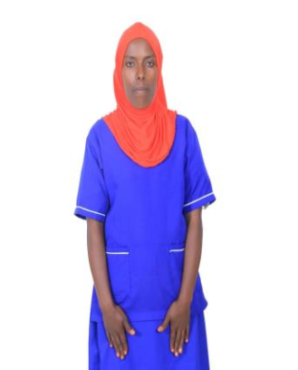 MESHENI BEDADA GEMEDA